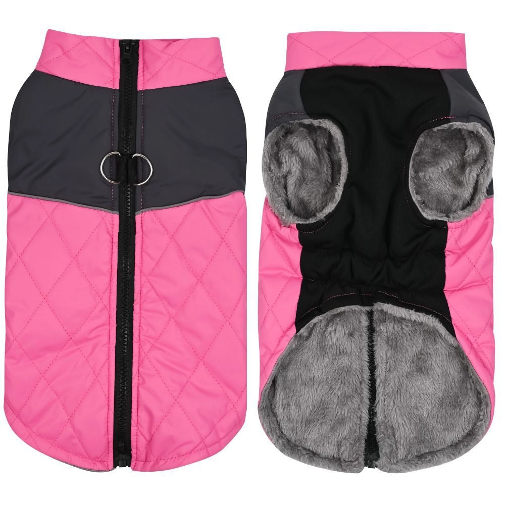 Waterproof Winter Dog Jacket (XS–3XL)