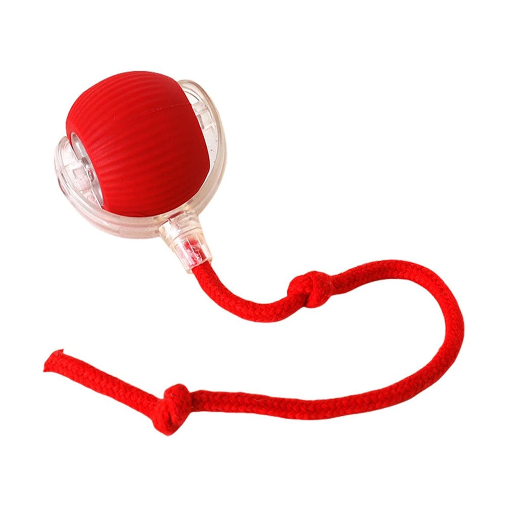 Interactive Rolling Cat Ball Toy