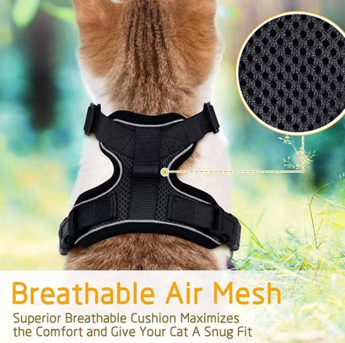 Reflective Breathable Chest Strap for Cats
