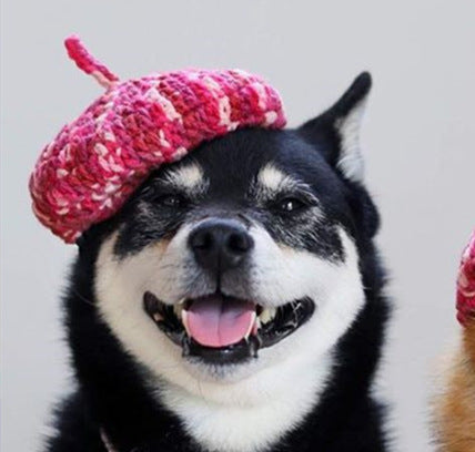 Cute DIY Mini Hand-Knitted Mixed Color Beret for Pets