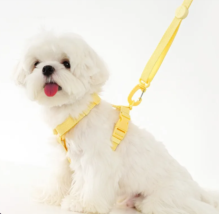 H-type Collar Chest Back Lead Rope