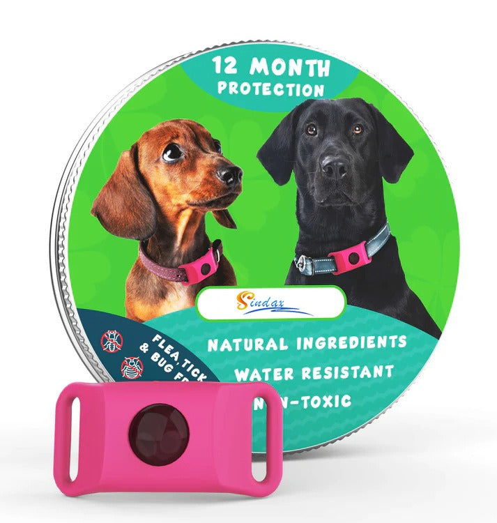 Flea Tick Collar for Dogs