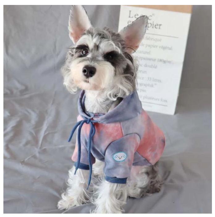 Warm Clothes for Small Dogs and Cats in Autumn/Winter
