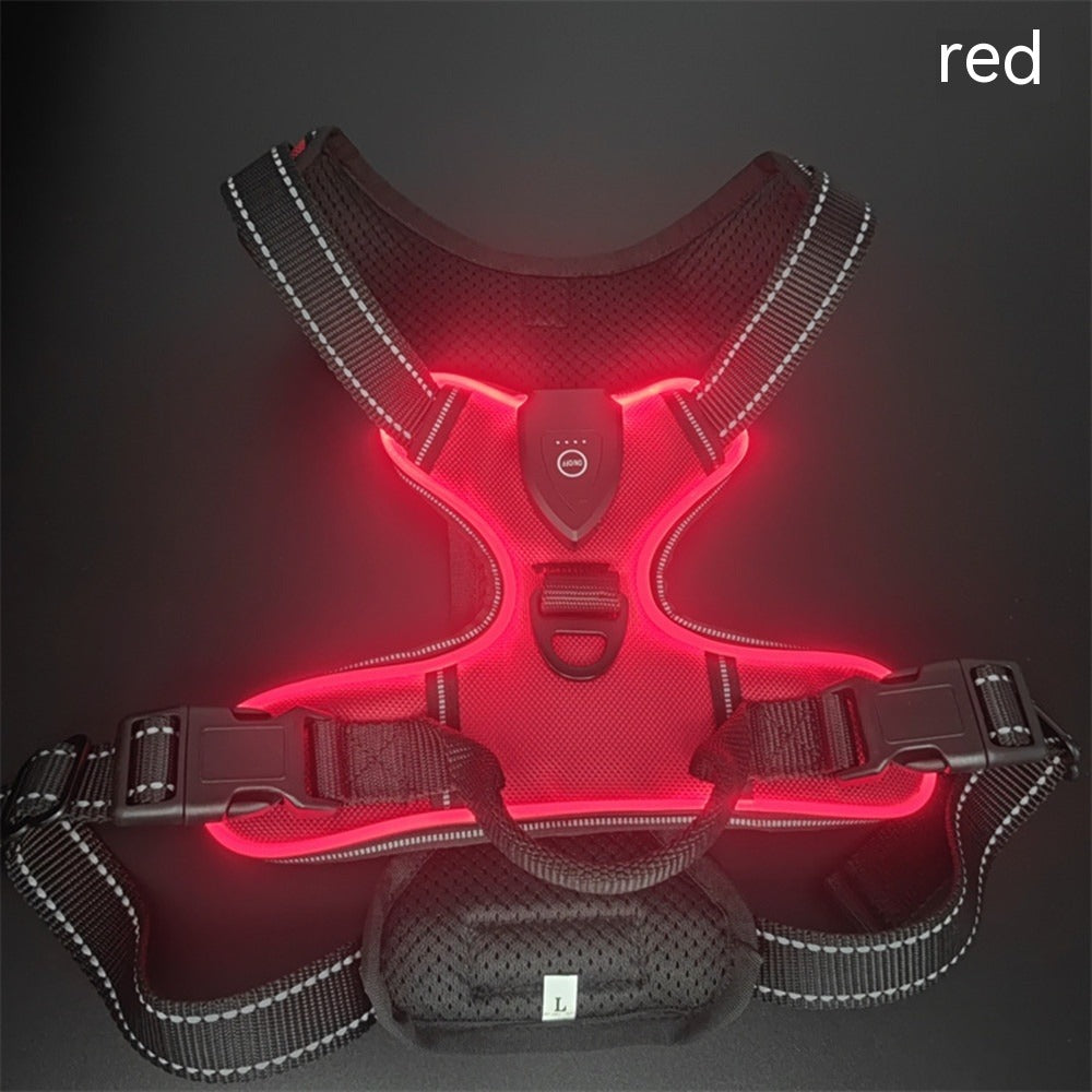 Luminous Dog Vest