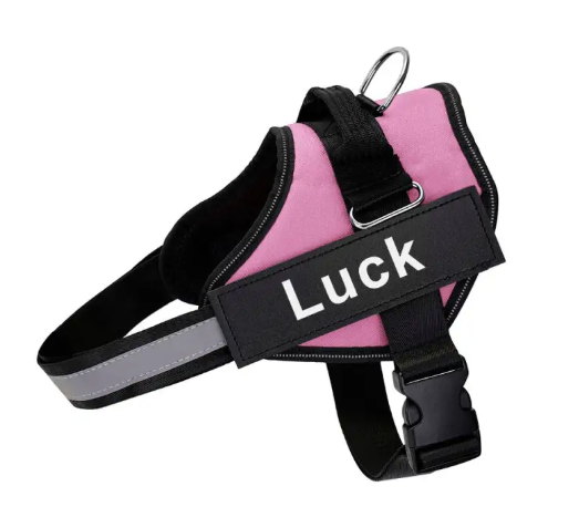 K9 Pet Leash and Harness