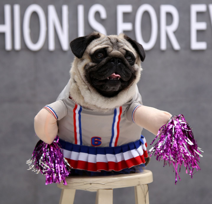 Color Changing Pet Clothes for Cats and Dogs