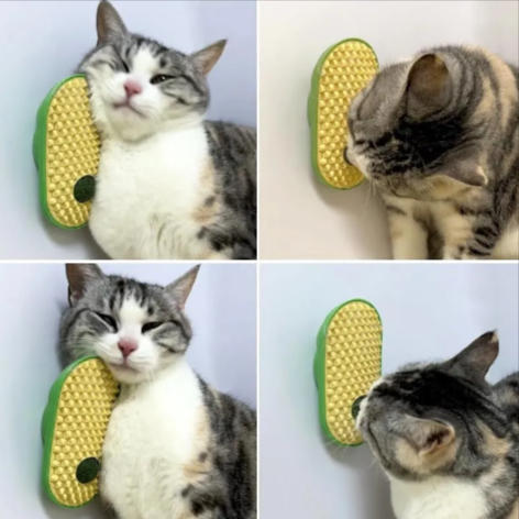 Wall-Mounted Catnip Ball & Groomer