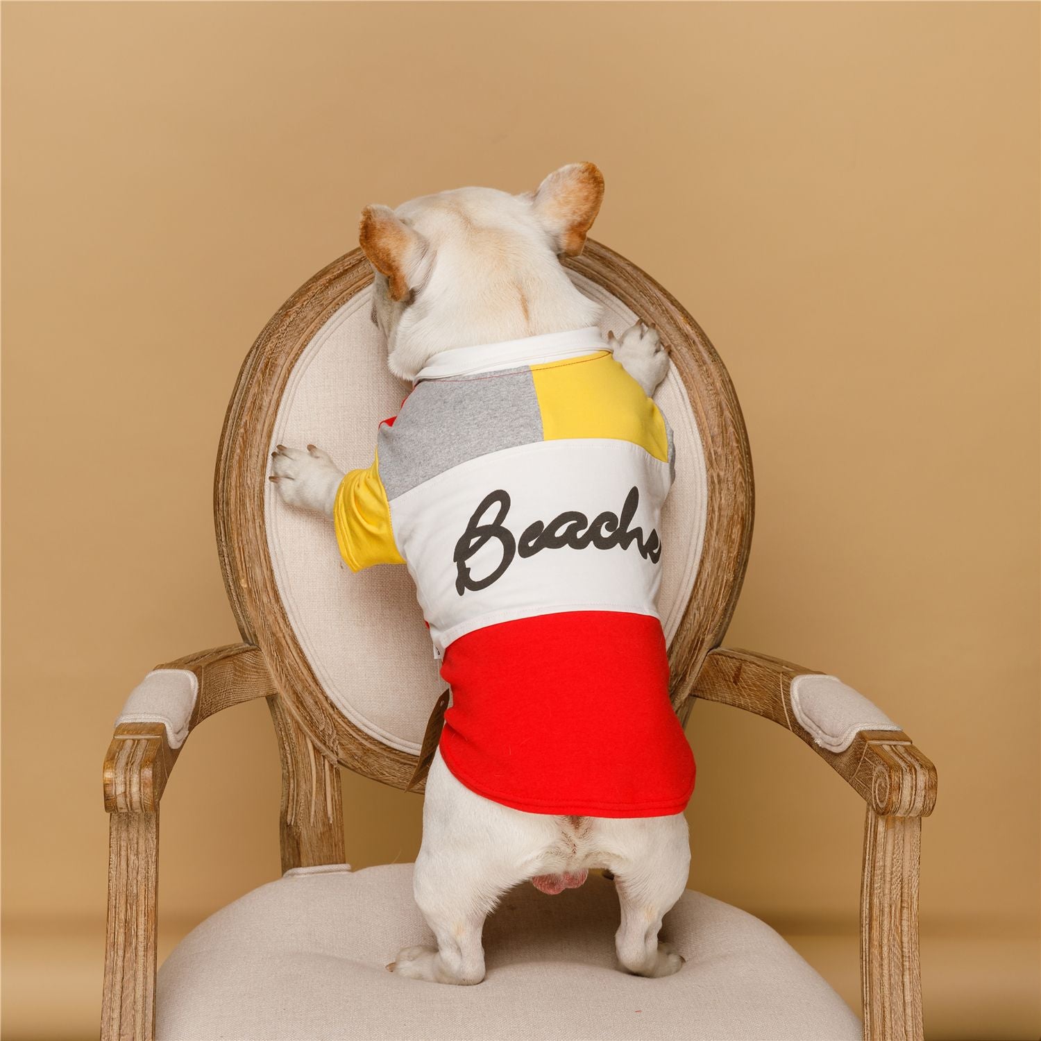 Spring New Dog Polo Shirt for Fashionable Pets