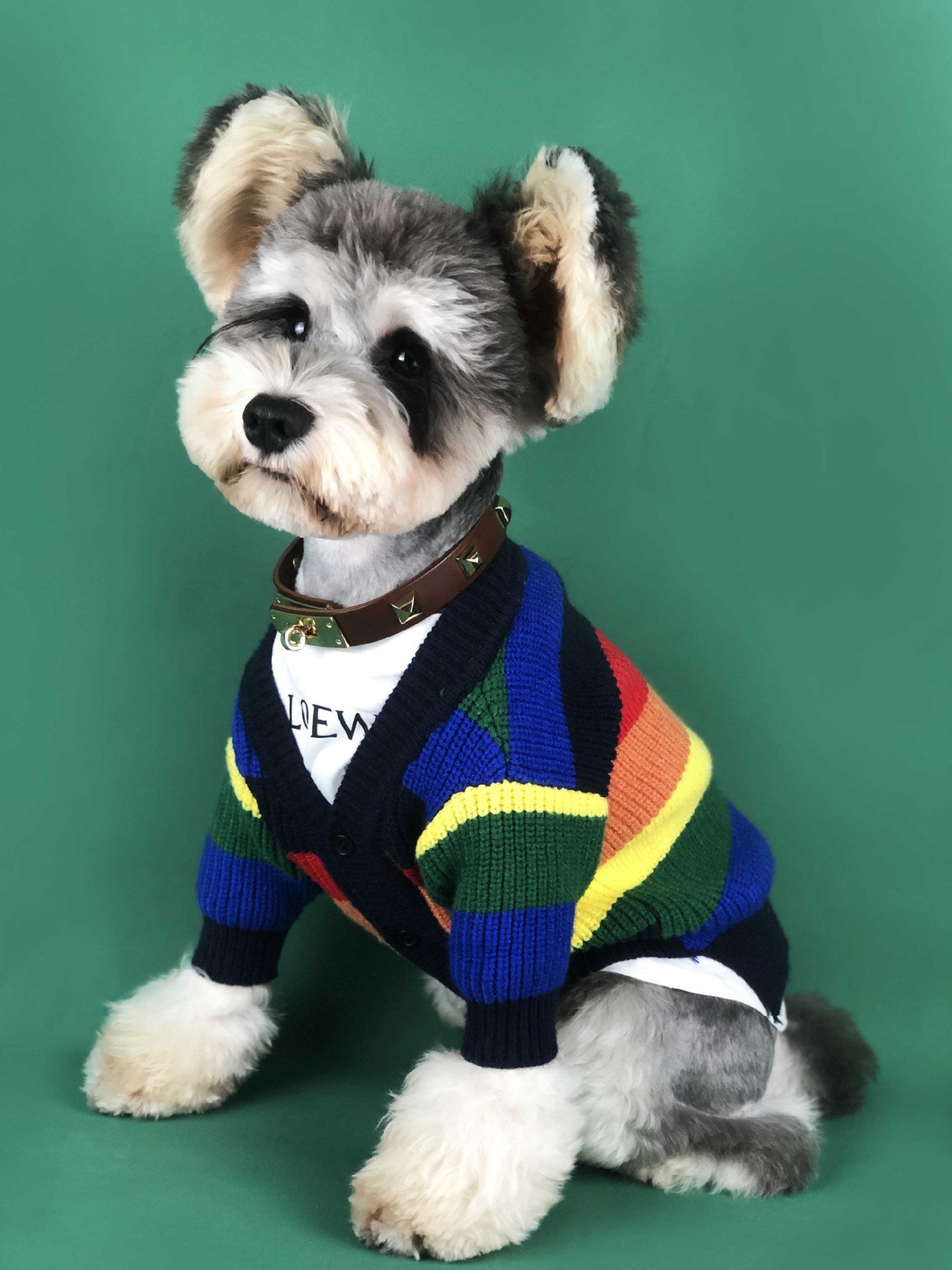 Rainbow Stripe Cardigan for Dogs (Dog Sweater)