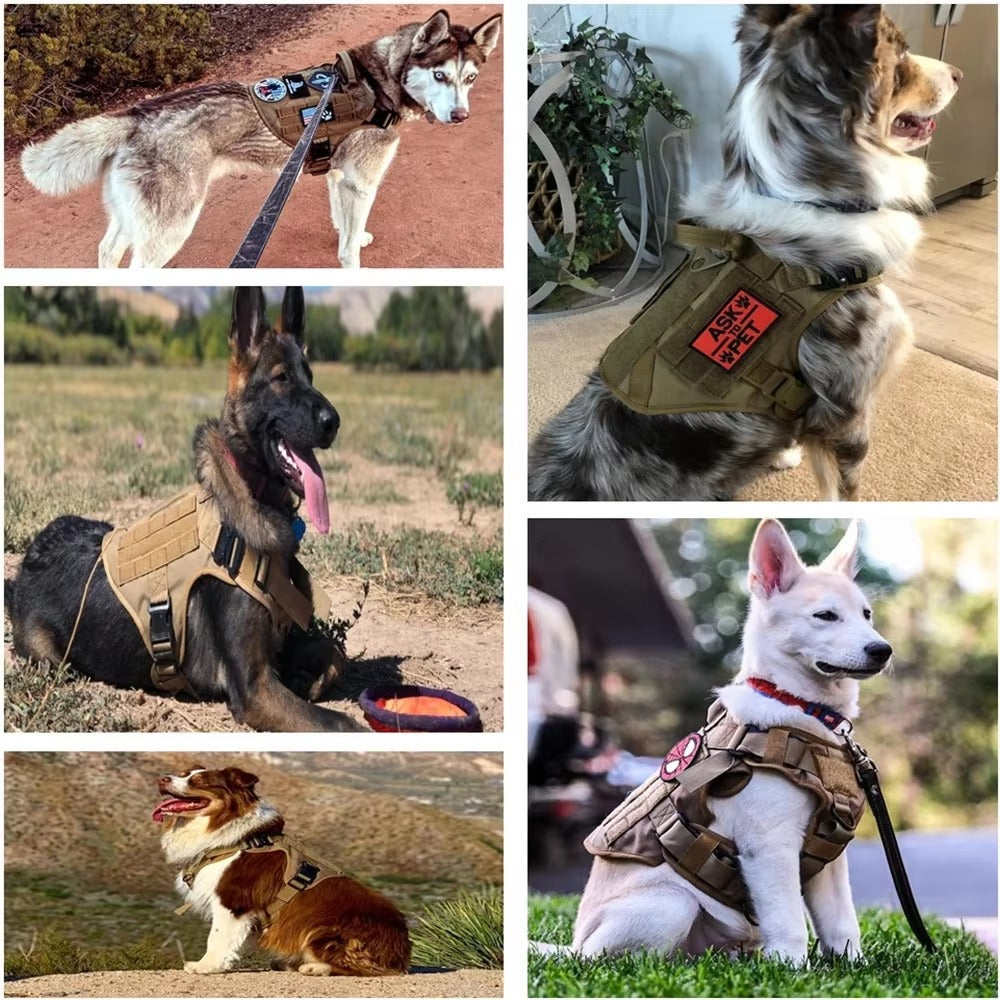 Nylon Camouflage Dog Harness and Leash Set
