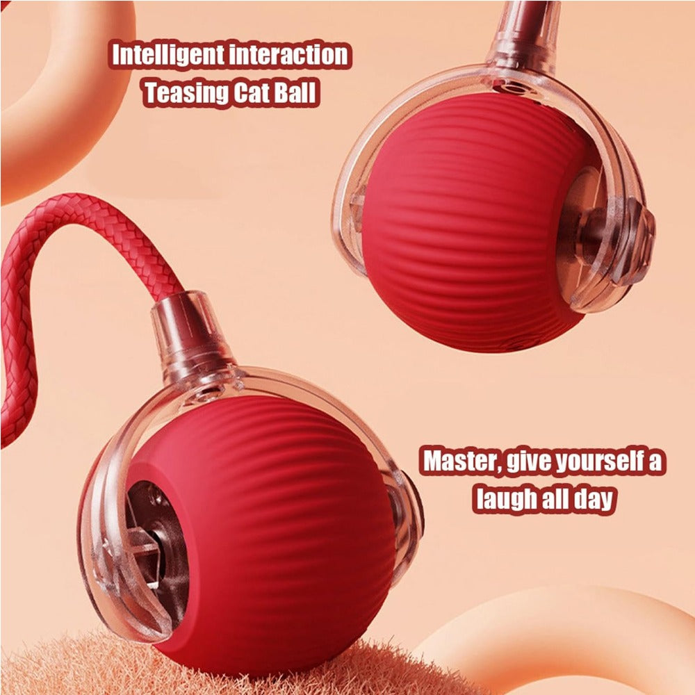 Interactive Rolling Cat Ball Toy