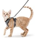 Reflective Breathable Chest Strap for Cats