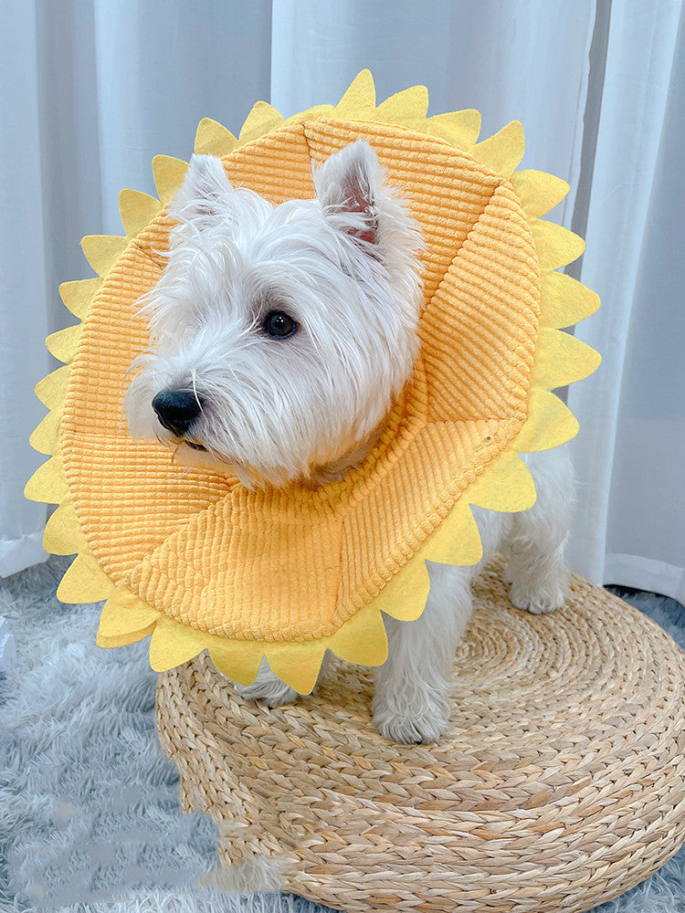 Anti-Licking Headgear for Cats and Small Dogs