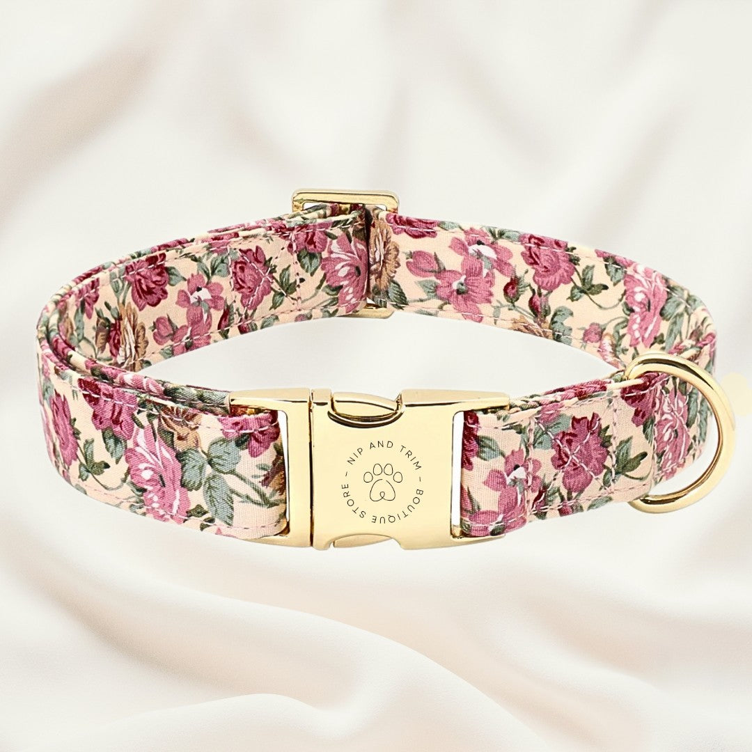 Custom Dog Collar with Personalized Name Tag