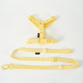 Korean Cat and Dog Macaron H-Type Collar with Lead