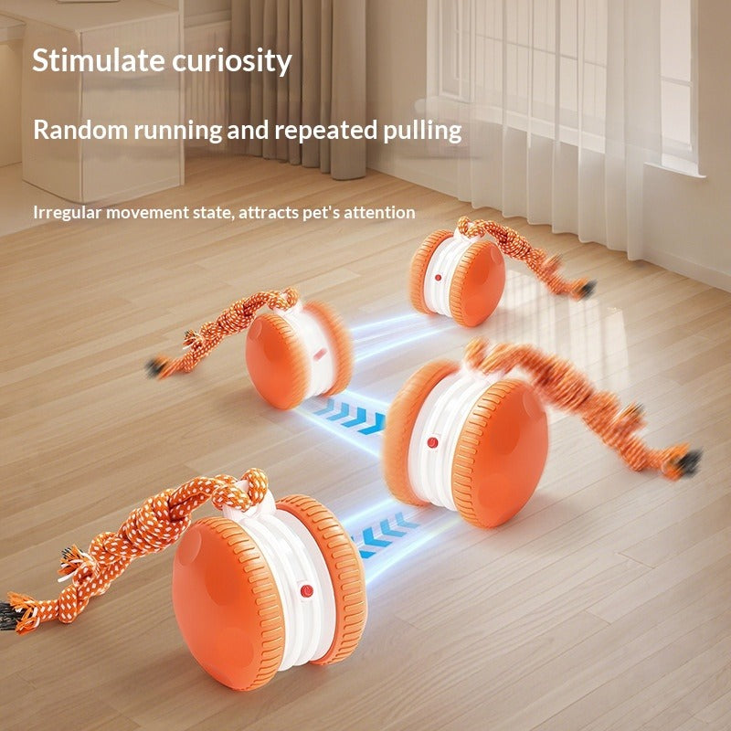 Rechargeable Pet Rolling Toy Ball