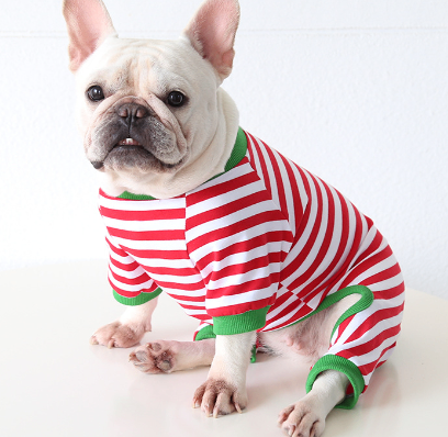 Striped Four-Legged Winter Coat for Dogs