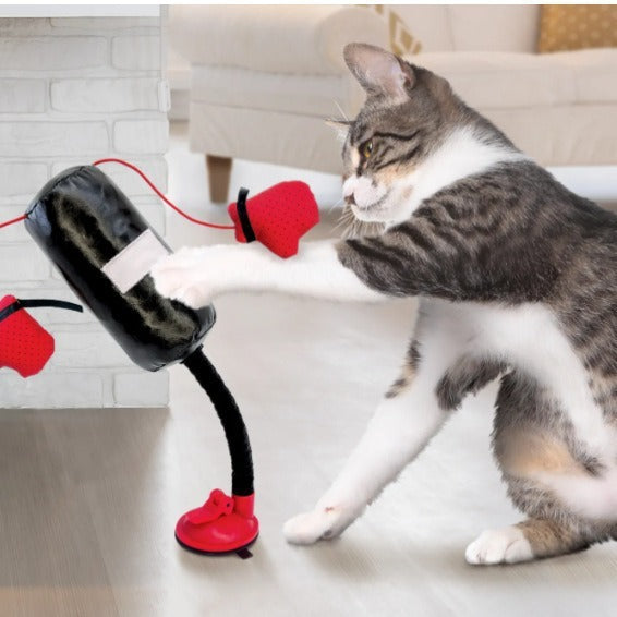 Cat Teaser Multi-Function Boxing Toy