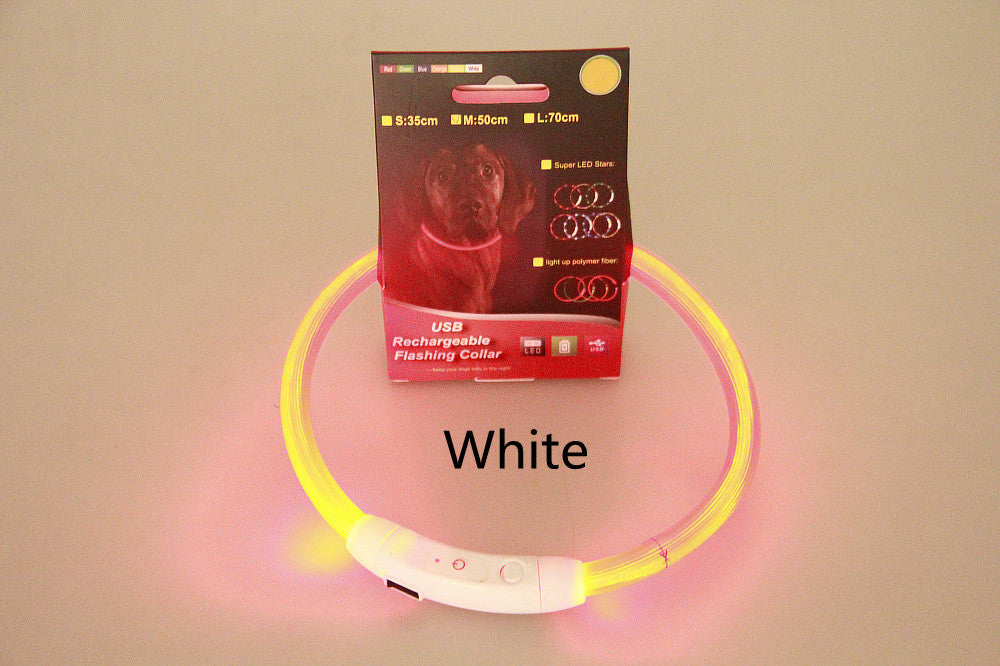 USB Rechargeable Pet Flashing Safety Collar for Night Walks