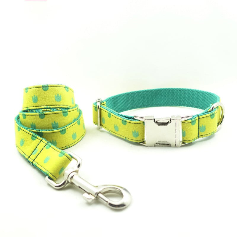 Labrador Dog Collar and Leash Set