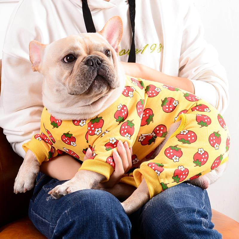 New Strawberry Pet Outfit for Autumn and Winter