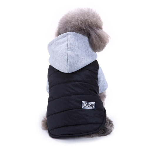 Autumn Winter Teddy Pet Sweater Apparel