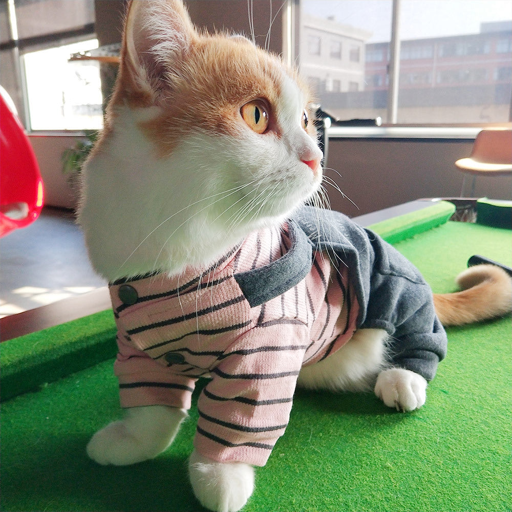 Warm Winter Clothes for Kittens and Cats