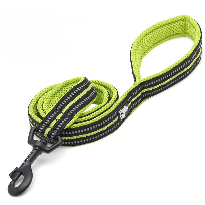 Dog Leash to Prevent Loss and Keep Your Pet Safe