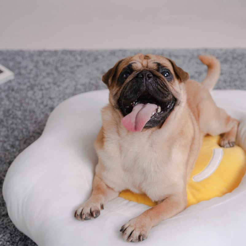 Pet Bed for Cats and Dogs, All-Season, Easy to Clean