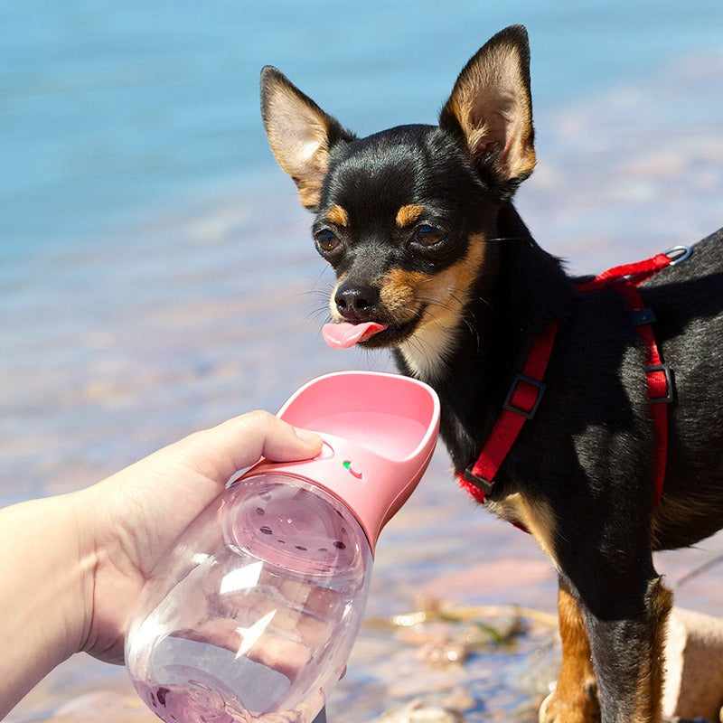 Portable Travel Dog & Cat Handheld Drinking Fountain