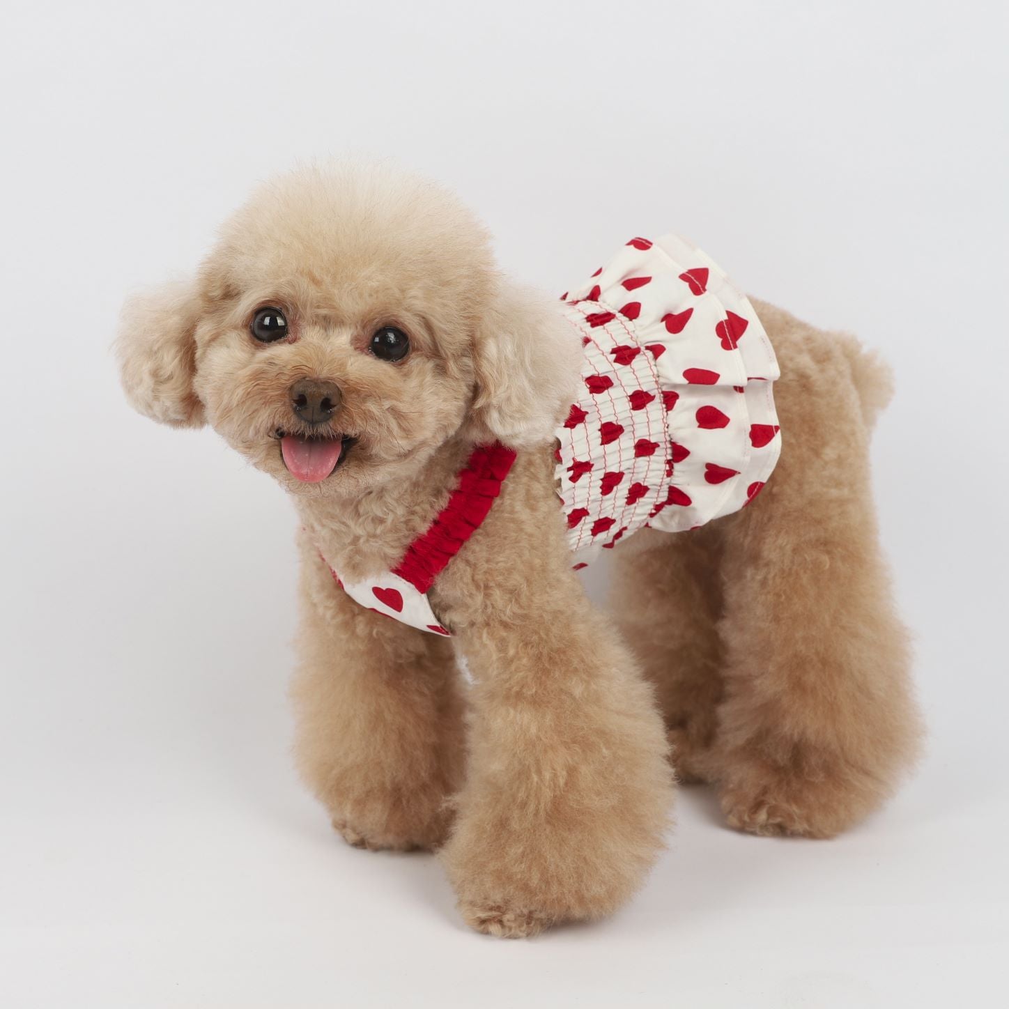 Korean Love Blue and Red Sling Pet Clothes