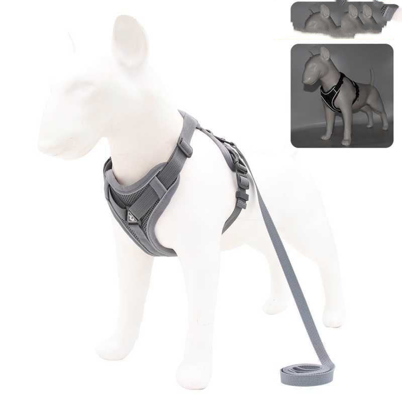 Dog Harness Set