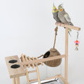 Solid Wood Parrot Training Stand with Climbing Ladder