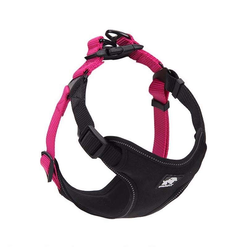 English Bulldog Harness with Leash and Collar for Dogs