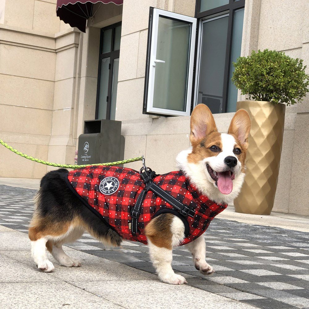 Waterproof Reflective Dog Belt for Winter Wear