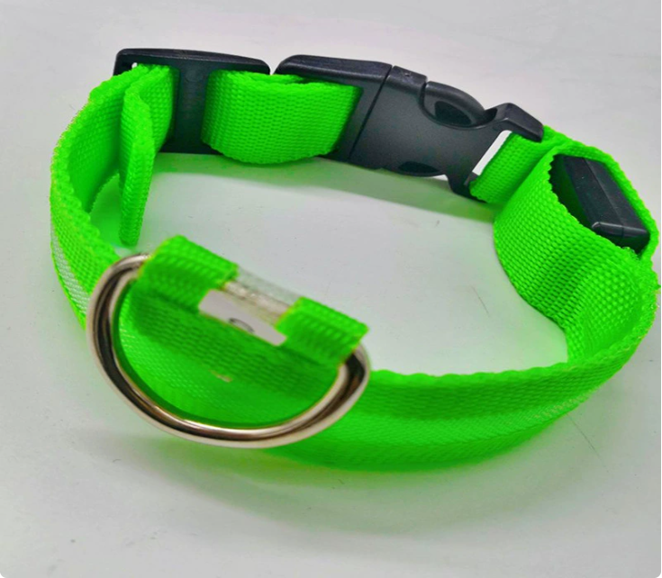 Luminous LED Dog Collar