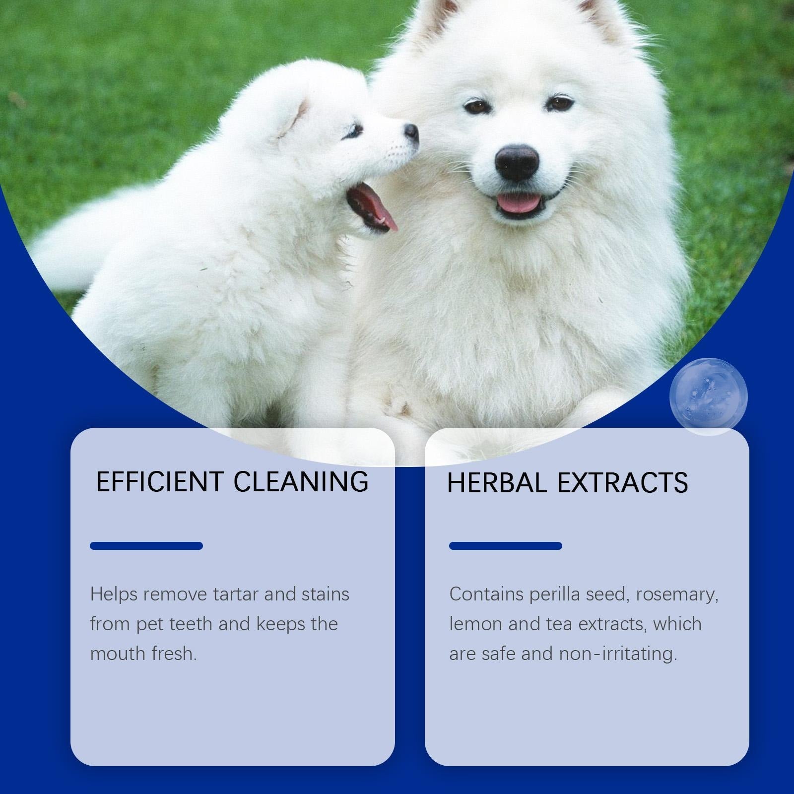 Dog Tooth Cleaner