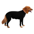 Autumn and Winter Dog Clothes in New Style