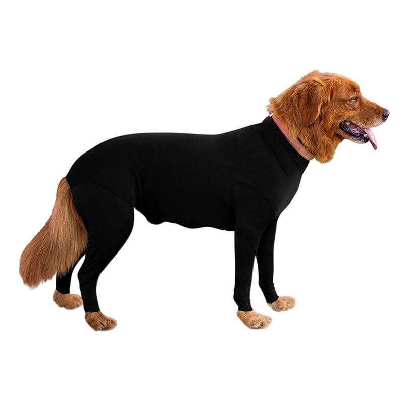 Autumn and Winter Dog Clothes in New Style