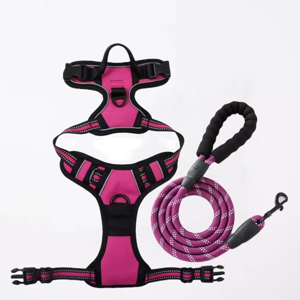 Nylon Dog Harness & Leash Set