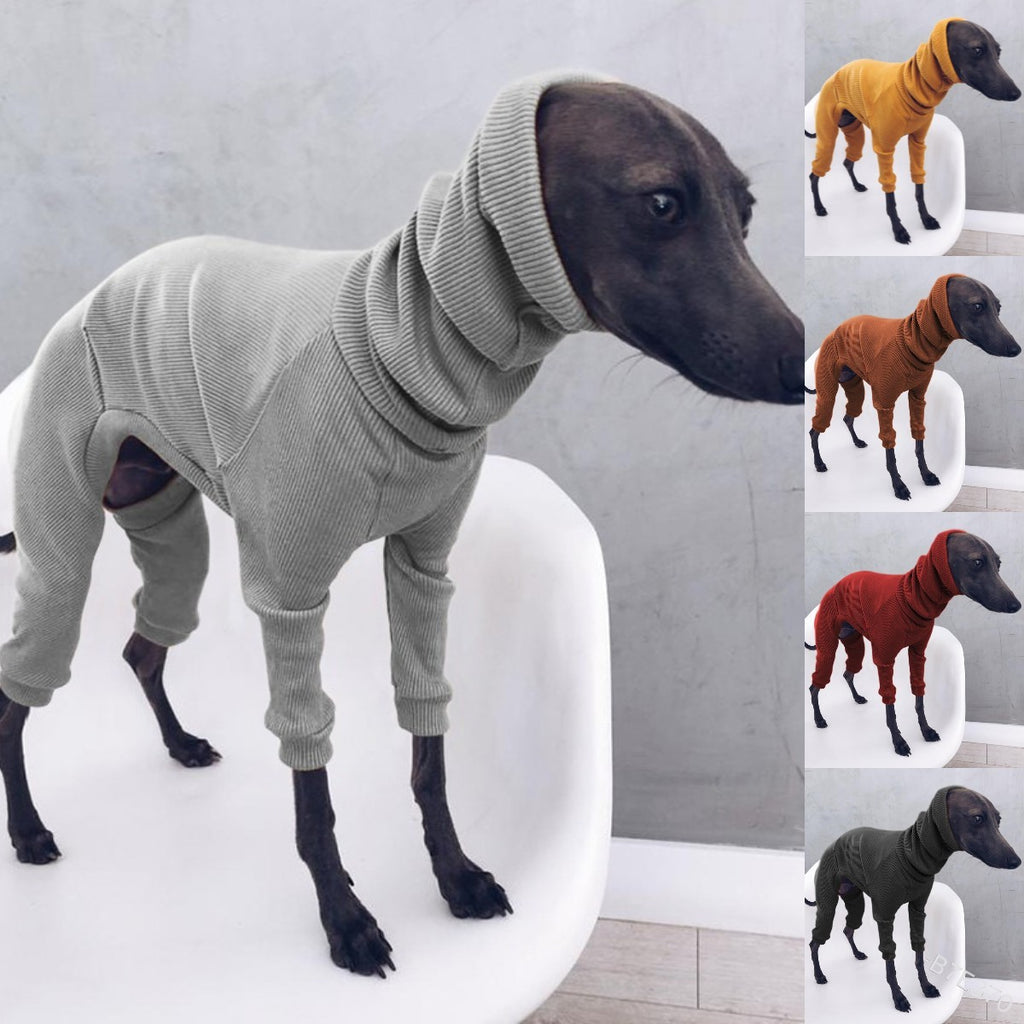 Lightweight Jumpsuit for Medium Large Whippet Dogs