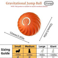 Blue & Orange Pet Bouncing Ball for Cats & Dogs
