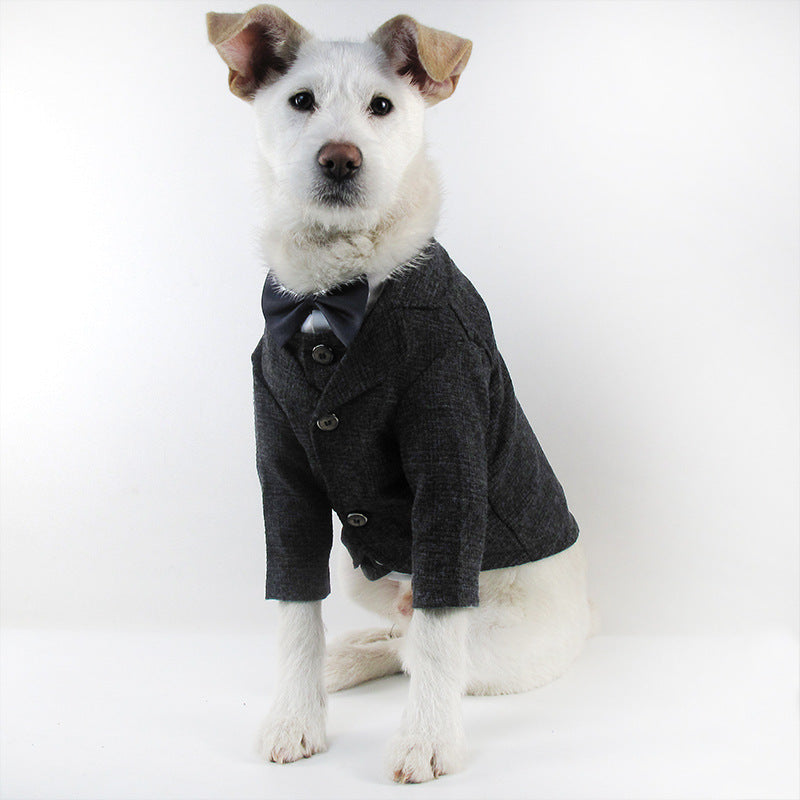 Dog Suit for French Bulldogs - Pet Wedding Attire
