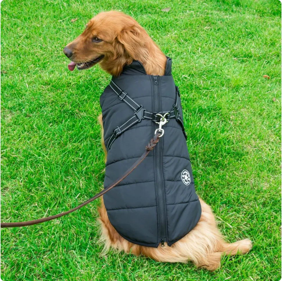 Reflective Waterproof Dog Coat for Autumn and Winter