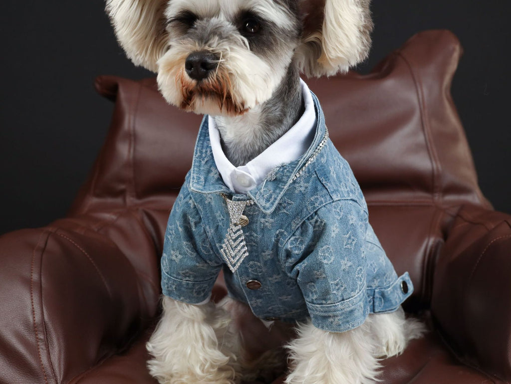 Pet Denim Shirt for Spring and Summer Wear