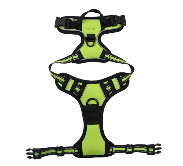 Dog Harness with Leash