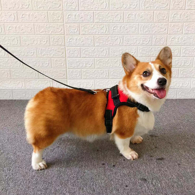 Small Dog Vest Harness with Leash