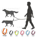 Amazon Best-Selling Reflective Nylon Dog Leash