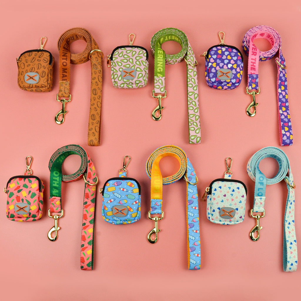 Dog Leash & Poop Bag Holder Set