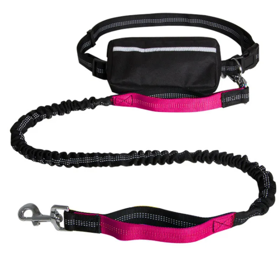 Hands-Free Reflective Dog Leash